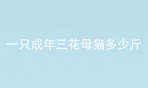 一只成年三花母猫多少斤