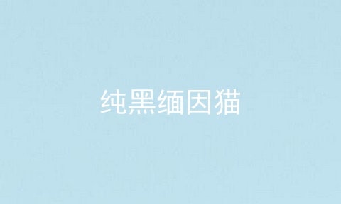 纯黑缅因猫