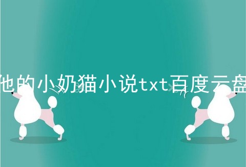 他的小奶猫小说txt百度云盘