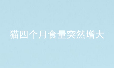 猫四个月食量突然增大