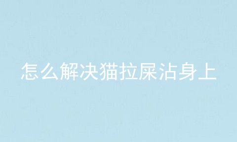 怎么解决猫拉屎沾身上
