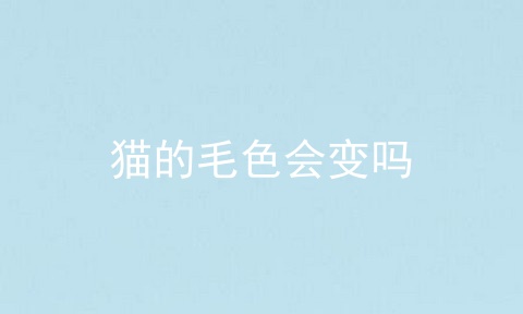 猫的毛色会变吗