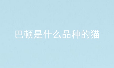 巴顿是什么品种的猫