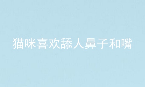 猫咪喜欢舔人鼻子和嘴