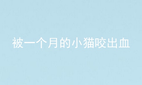 被一个月的小猫咬出血