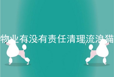 物业有没有责任清理流浪猫