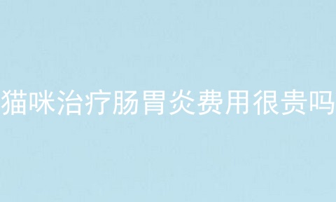 猫咪治疗肠胃炎费用很贵吗