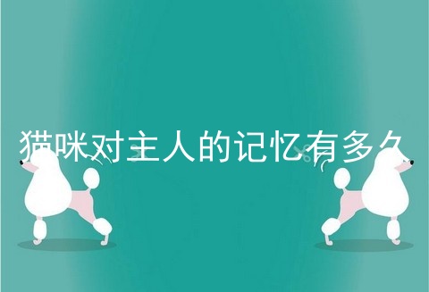 猫咪对主人的记忆有多久