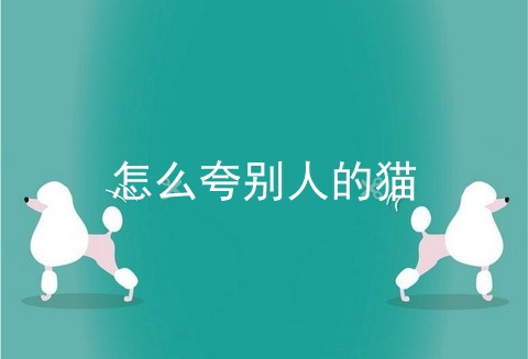 怎么夸别人的猫