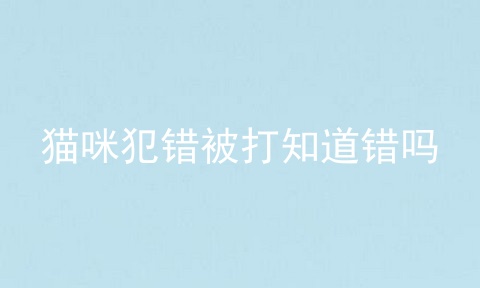 猫咪犯错被打知道错吗