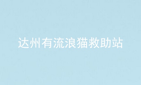 达州有流浪猫救助站