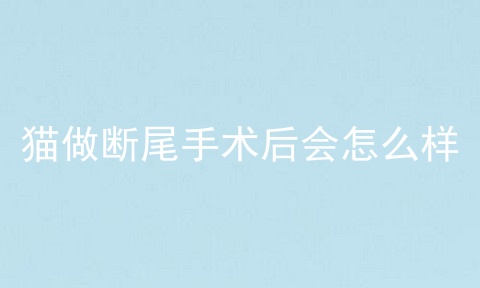 猫做断尾手术后会怎么样