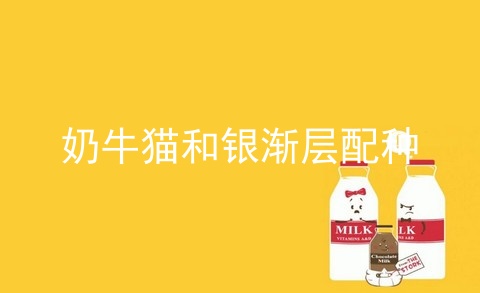 奶牛猫和银渐层配种