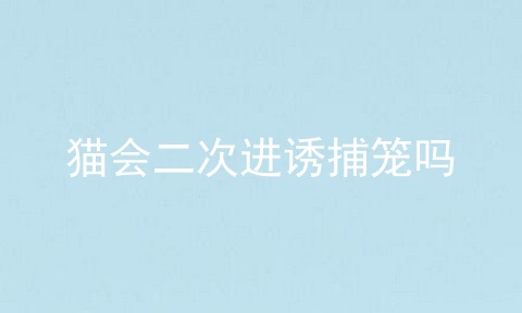 猫会二次进诱捕笼吗