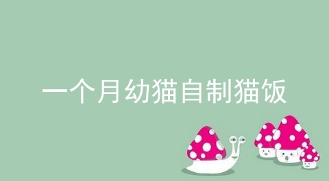 一个月幼猫自制猫饭