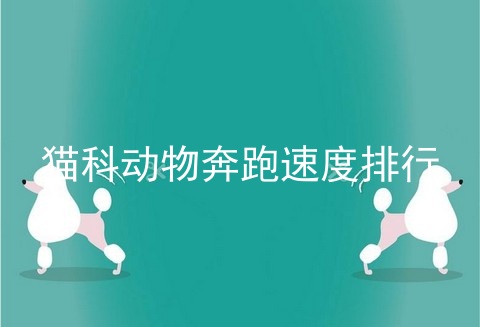 猫科动物奔跑速度排行