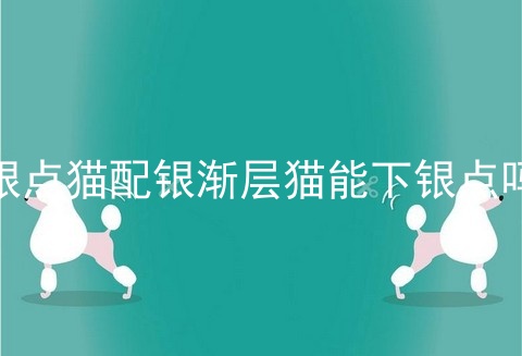 银点猫配银渐层猫能下银点吗