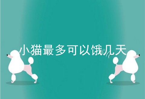 小猫最多可以饿几天