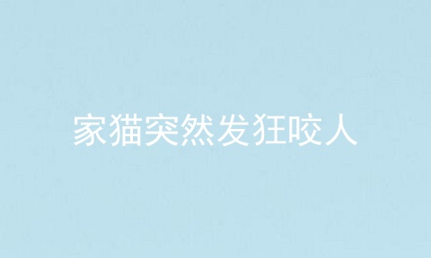 家猫突然发狂咬人