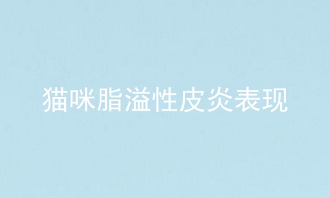 猫咪脂溢性皮炎表现