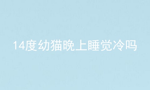 14度幼猫晚上睡觉冷吗