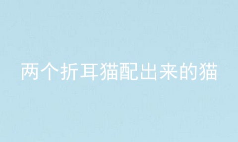 两个折耳猫配出来的猫