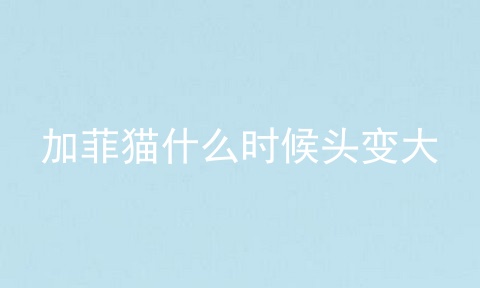 加菲猫什么时候头变大