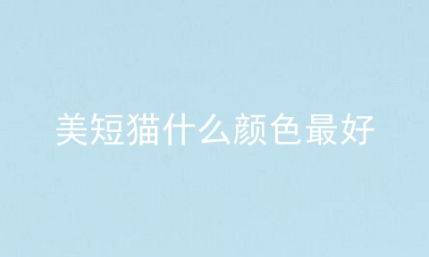 美短猫什么颜色最好