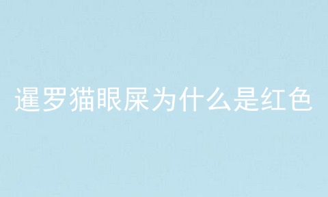 暹罗猫眼屎为什么是红色
