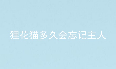 狸花猫多久会忘记主人