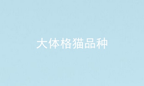 大体格猫品种