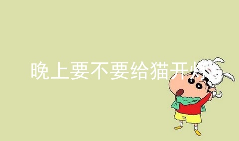 晚上要不要给猫开灯
