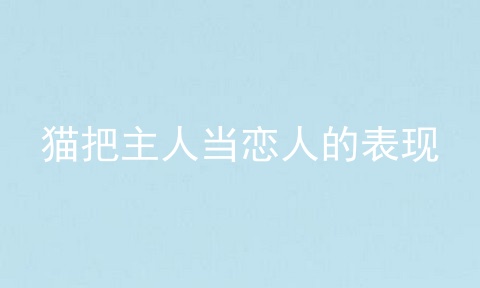 猫把主人当恋人的表现