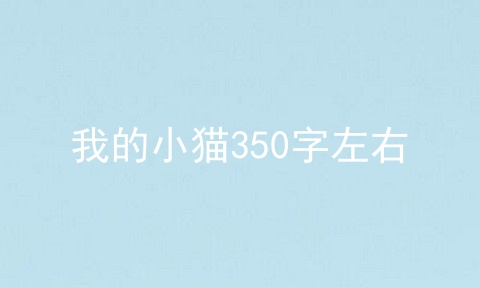 我的小猫350字左右