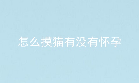 怎么摸猫有没有怀孕