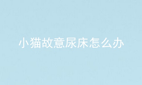 小猫故意尿床怎么办