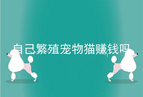 自己繁殖宠物猫赚钱吗