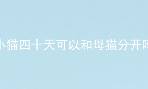 小猫四十天可以和母猫分开吗