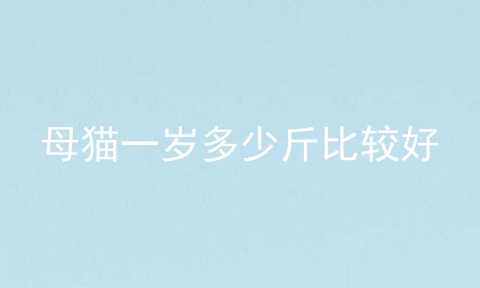母猫一岁多少斤比较好