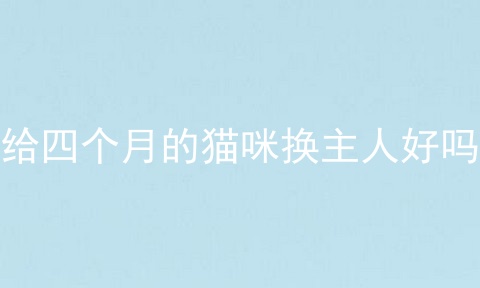 给四个月的猫咪换主人好吗