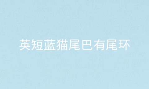 英短蓝猫尾巴有尾环