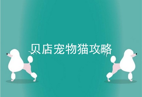 贝店宠物猫攻略