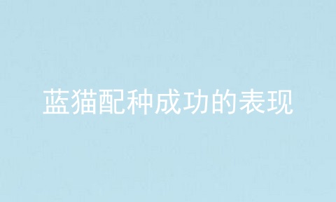 蓝猫配种成功的表现