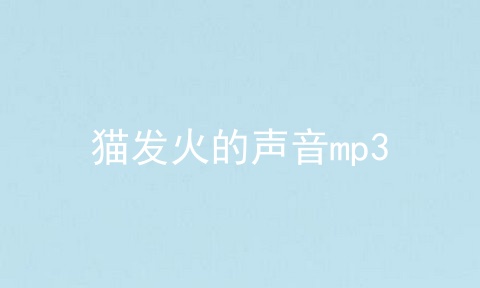 猫发火的声音mp3