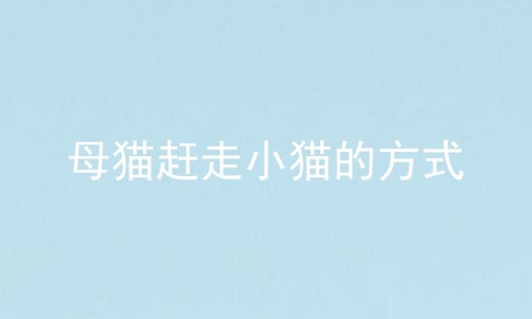母猫赶走小猫的方式