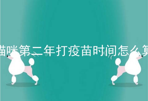 猫咪第二年打疫苗时间怎么算