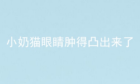 小奶猫眼睛肿得凸出来了