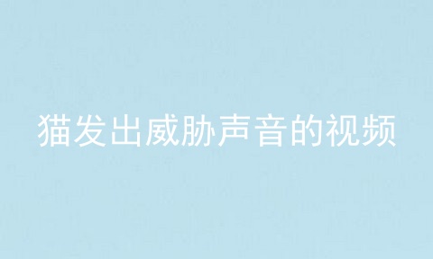 猫发出威胁声音的视频
