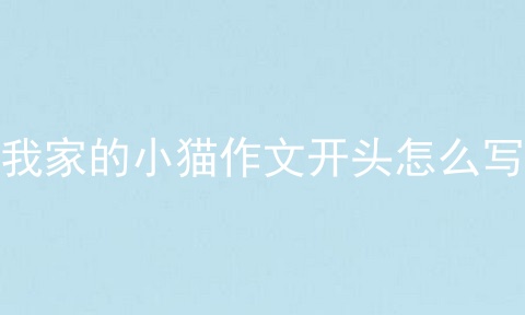 我家的小猫作文开头怎么写