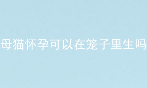 母猫怀孕可以在笼子里生吗